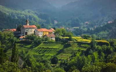Percorso sensoriale per non vedenti nella foresta demaniale della Deiva!